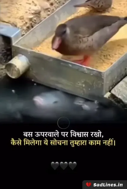 Emotional Shayari for Depression 8